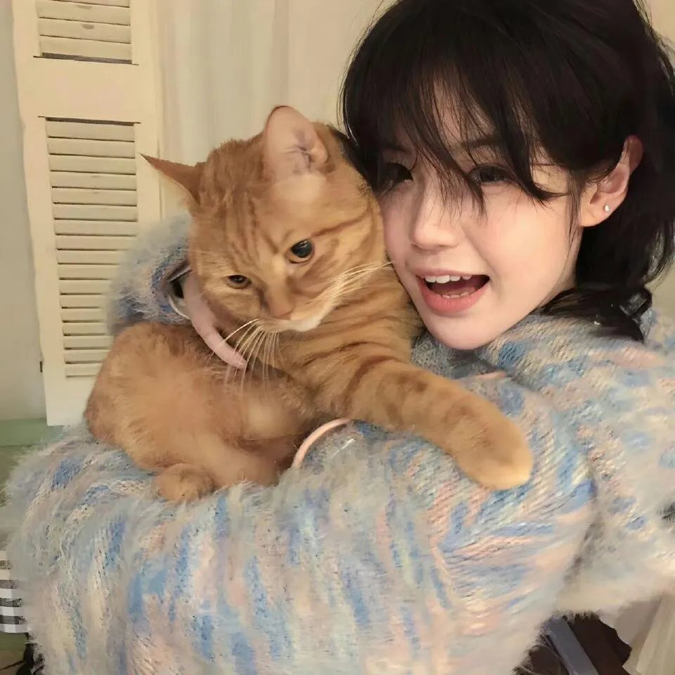 洛奇6：永远的拳王国语